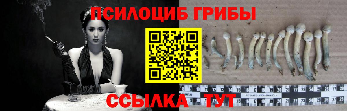 Галлюциногенные грибы Psilocybine cubensis  Вход с VPN  Гай 